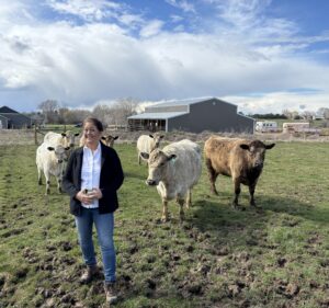 Theresa Denham Canyon County Cattle